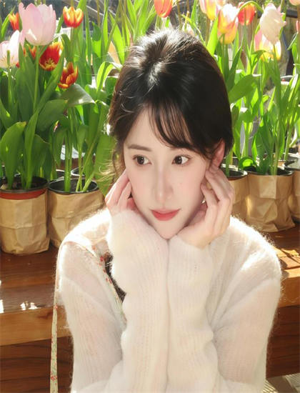 探秘《我们不再陌生》的市场表现与观众反馈